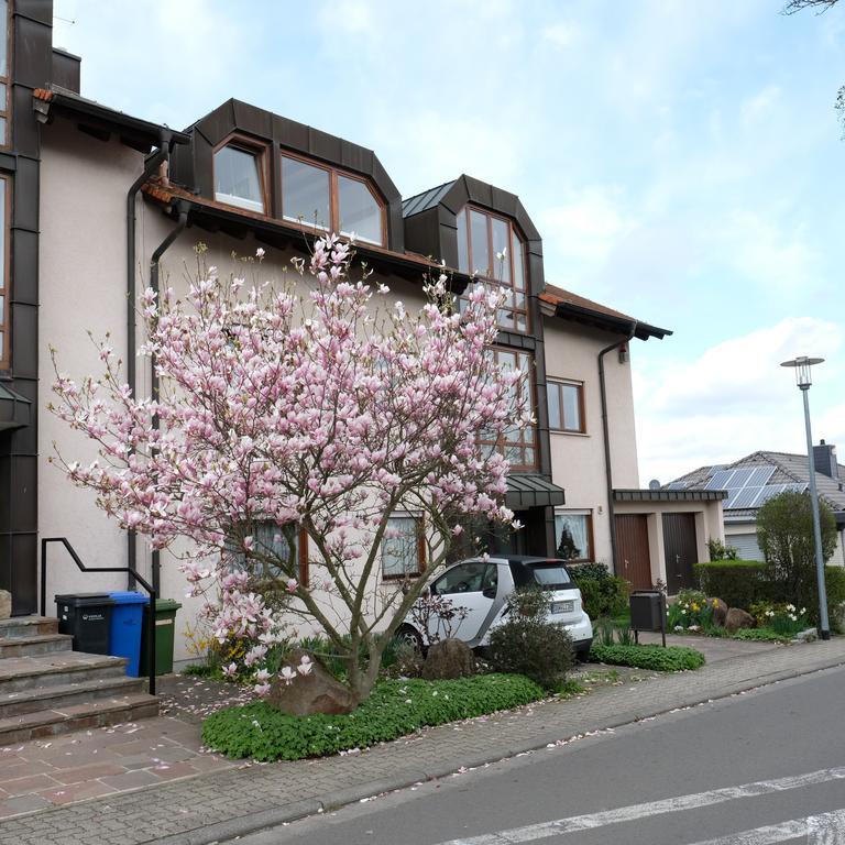 Ferienwohnung Unter Dem Schwalbennest Wachenheim an der Weinstraße Exteriör bild
